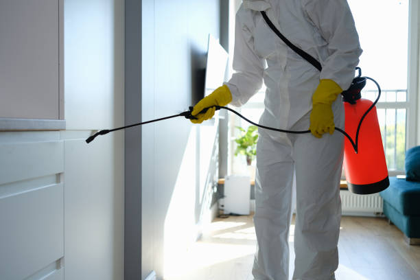 Best Residential Mold Remediation in Farwell, TX